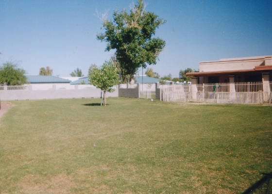 backyardpasturemay04.jpg